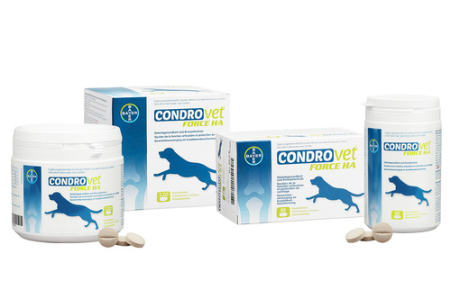 COND_Condrovet_Packshot_Hund